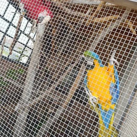 Stela Spisske Tomasovce