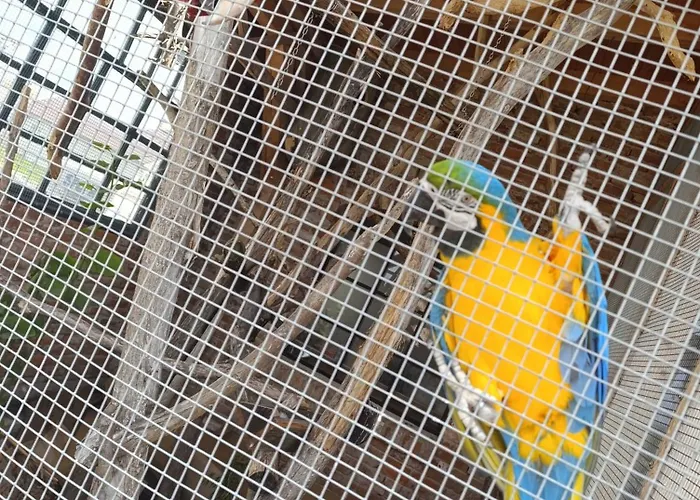 Stela Spišské Tomášovce